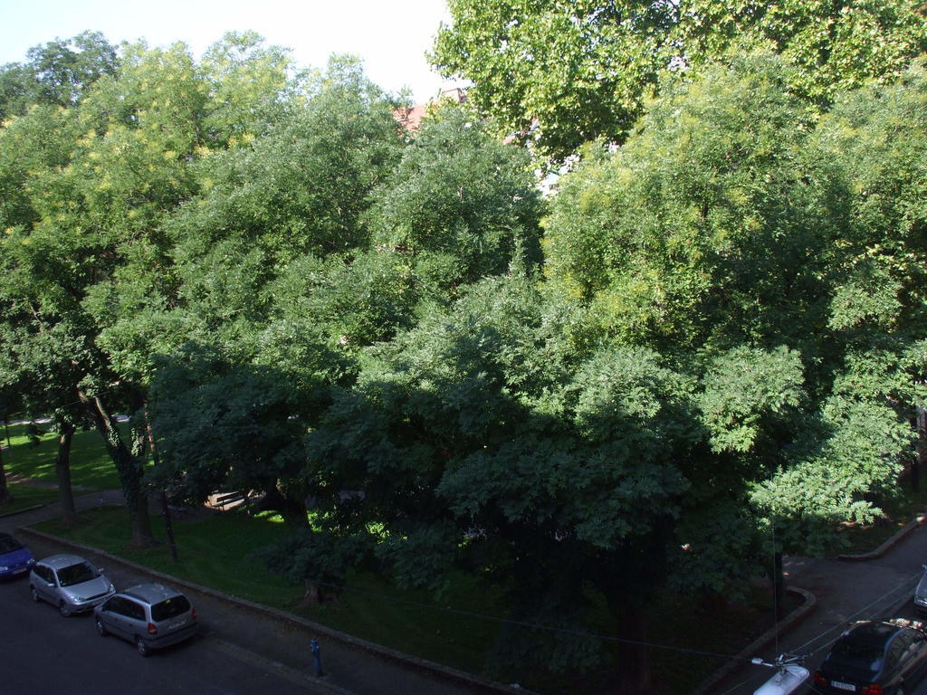 Appartement St. Leonhard Грац Экстерьер фото